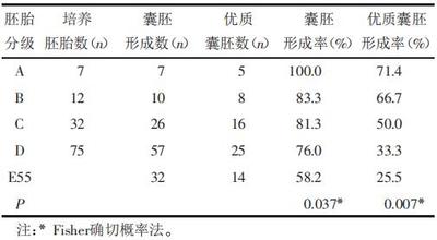 微文36_囊胚及优质囊胚.jpg
